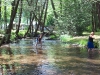 tn_CAMPER, BEACH, MASS ETC 1006